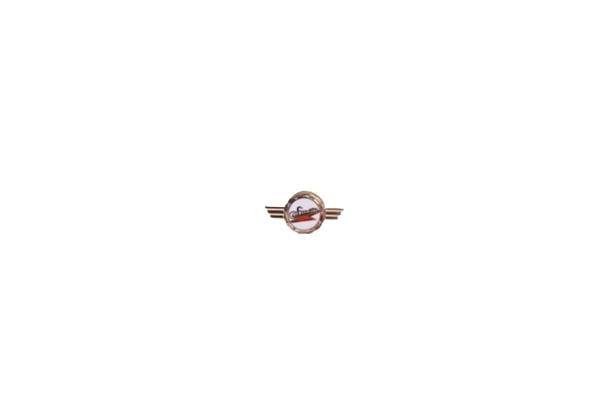 Znaczek pin simson | AA2415