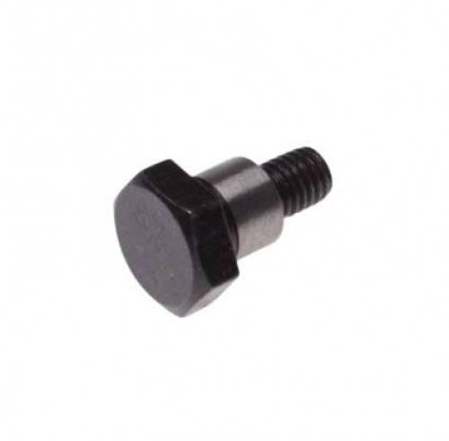 Śruba ramienia napinacza łańcucha rozrządu 4t