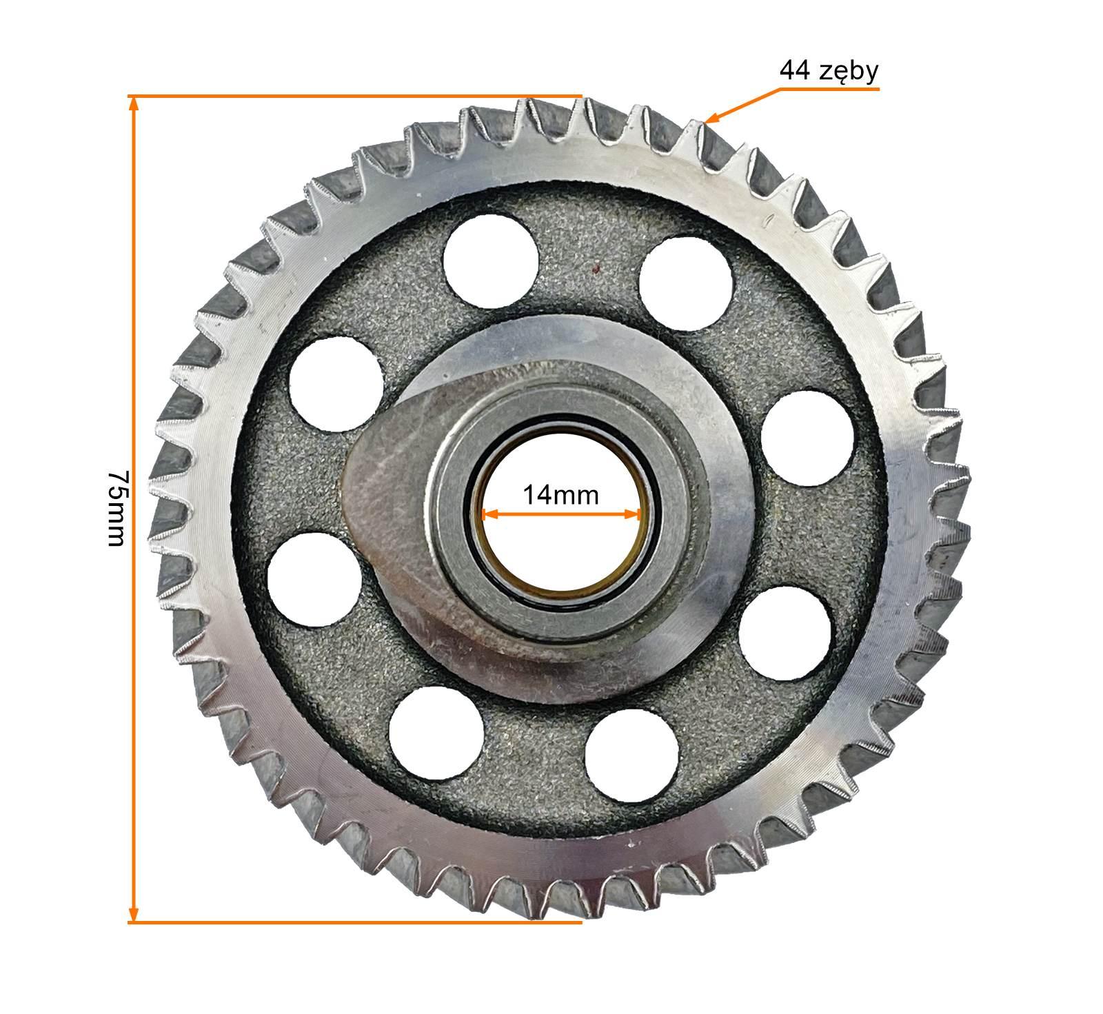 Koło zębate rozrządu romet zetka 125 bez wałka - zdjęcie 5