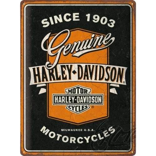 Tablica Plakat 30X40 Harley-Davidson Ribbo 23360