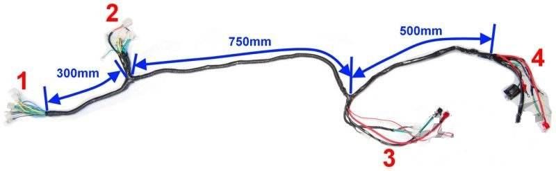 Instalacja elektryczna 50 4t delfin coliber barton - zdjęcie 2