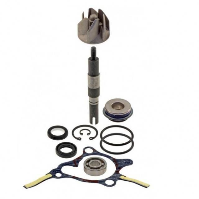 Zestaw Naprawczy Pompa Wody Honda Foresight 250
