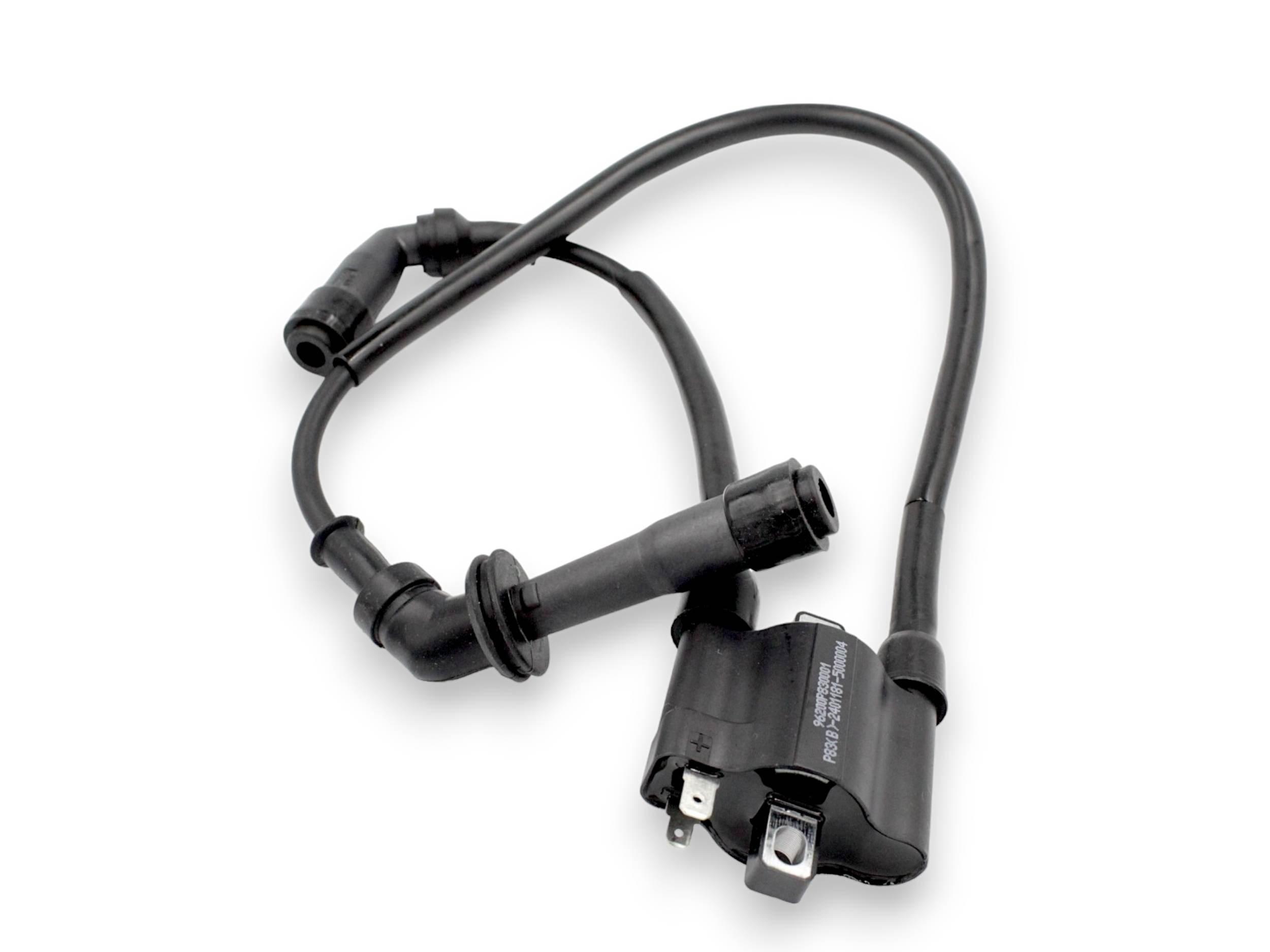 Cewka Zapłonowa 01 Svt650 Svt650x | 96200P830001-QJ