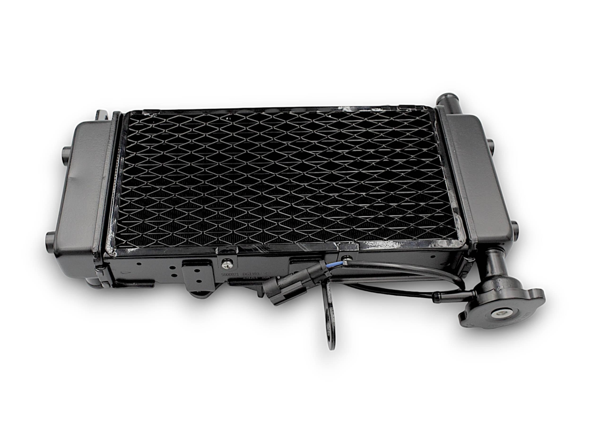 Chłodnica Srv 125 | 279124460070-QJ