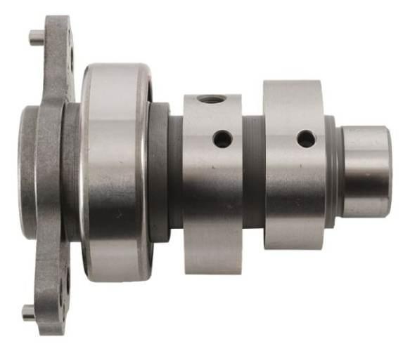 Hot Cams Wałek Rozrządu Yamaha Raptor Yfm 700 09