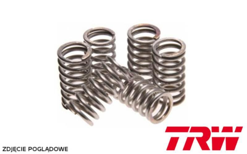 Trw Zf Sprężyny Sprzęgłowe Yamaha Yzf 600 R6 06-07 Ebs126