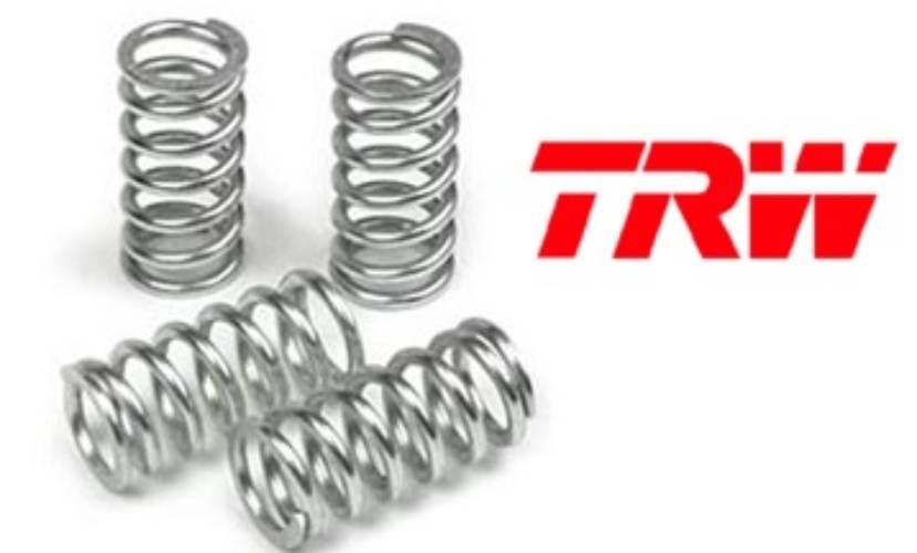 Trw Zf Sprężyny Sprzęgłowe Bmw F 650 Gs 08-12, F 700 Gs 16-20, F 800 Gs Gs