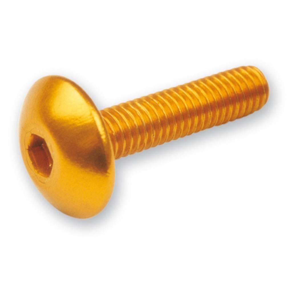V Parts Vicma Zestaw Śrub Owiewki M6X20 6Szt. Kolor Złoty Ta620Or
