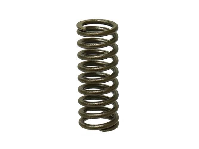 Psychic Sprężyna Zaworu Wydechowego Kawasaki Kxf 250 06-14 Mx-09505Es - Zas