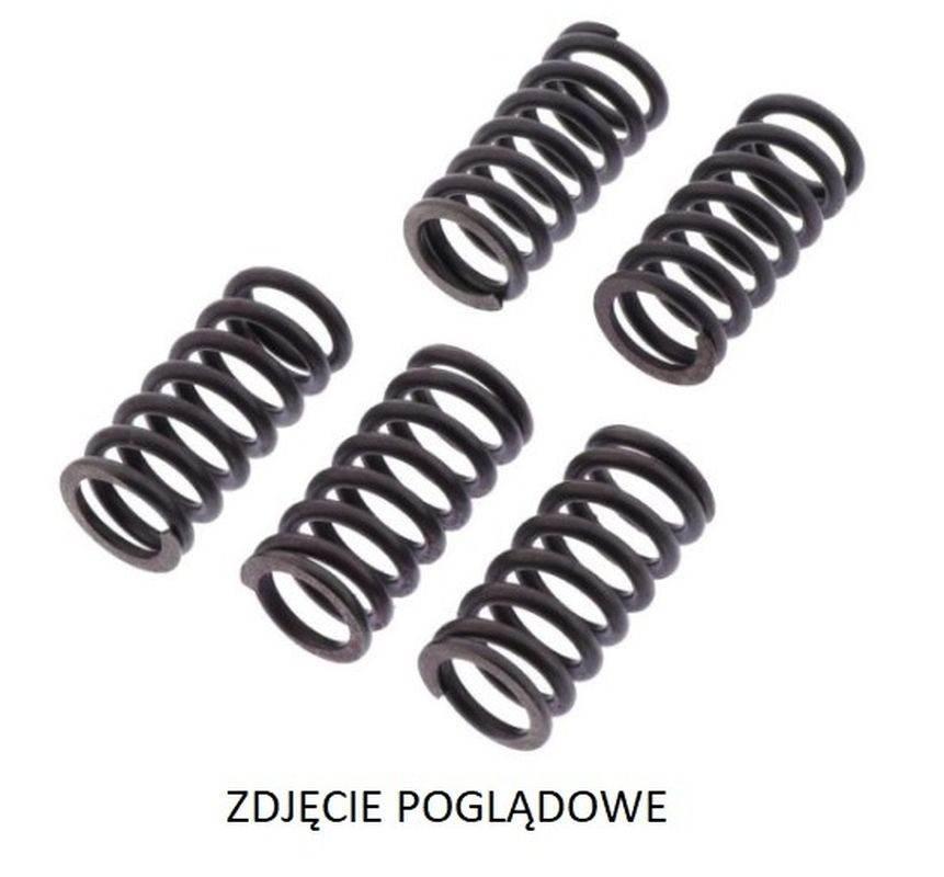 Trw Zf Sprężyny Sprzęgłowe Ktm Duke/Enduro/Sm/Smc 690 '07-'16