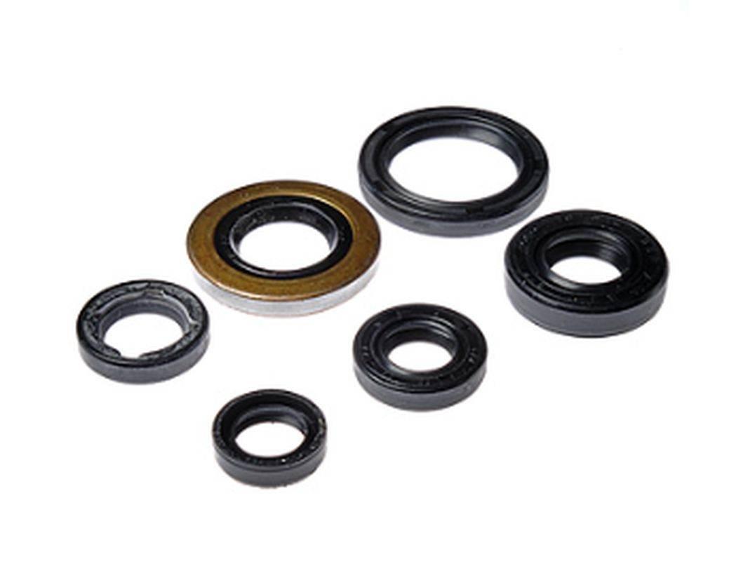 Bearing Worx Komplet Zestaw Uszczelniaczy Silnikowych Honda Trx 400Ex '05-'