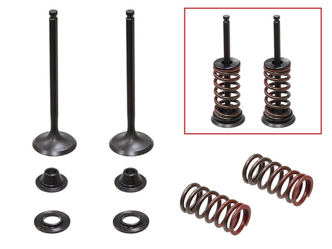 Psychic Zawory Wydechowe Komplet 2 Szt. Zaworów Ze Sprężynami I Podkładkami