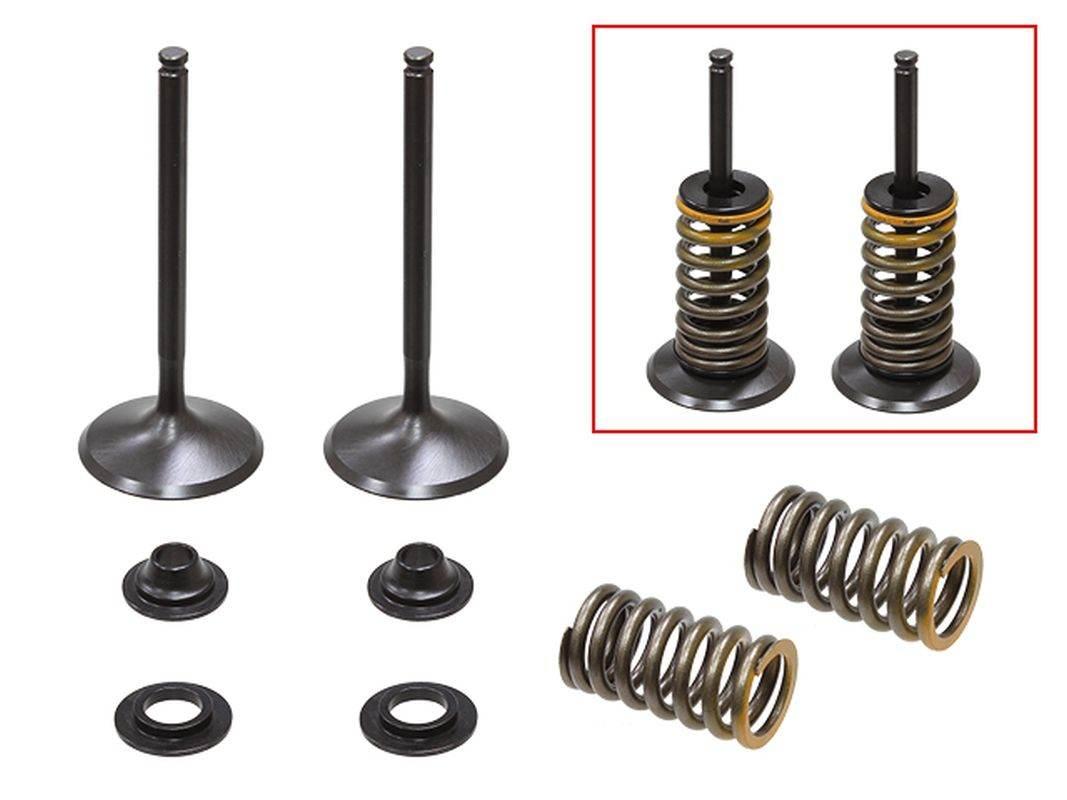 Psychic Zawory Ssące Komplet 2 Szt. Zaworów Ze Sprężynami I Podkładkami Yam