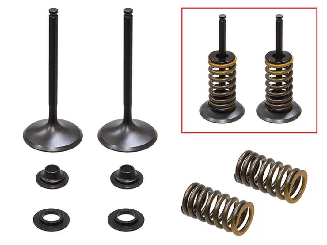 Psychic Zawory Ssące Komplet 2 Szt. Zaworów Ze Sprężynami I Podkładkami Yam