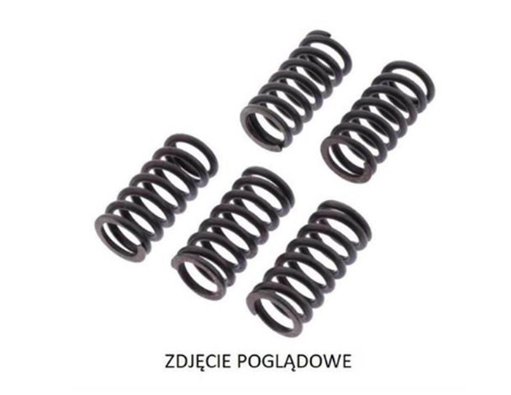 Sprężyny Sprzęgłowe Suzuki Rm 250 '87, Rm 80 '87-'88