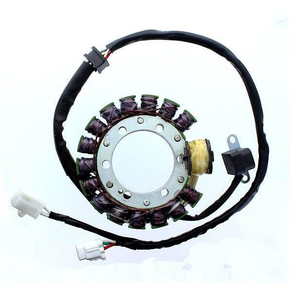 Electrosport Uzwojenie Alternatora Stator Yamaha Yfm 350 Big Bear 97-99 Wol