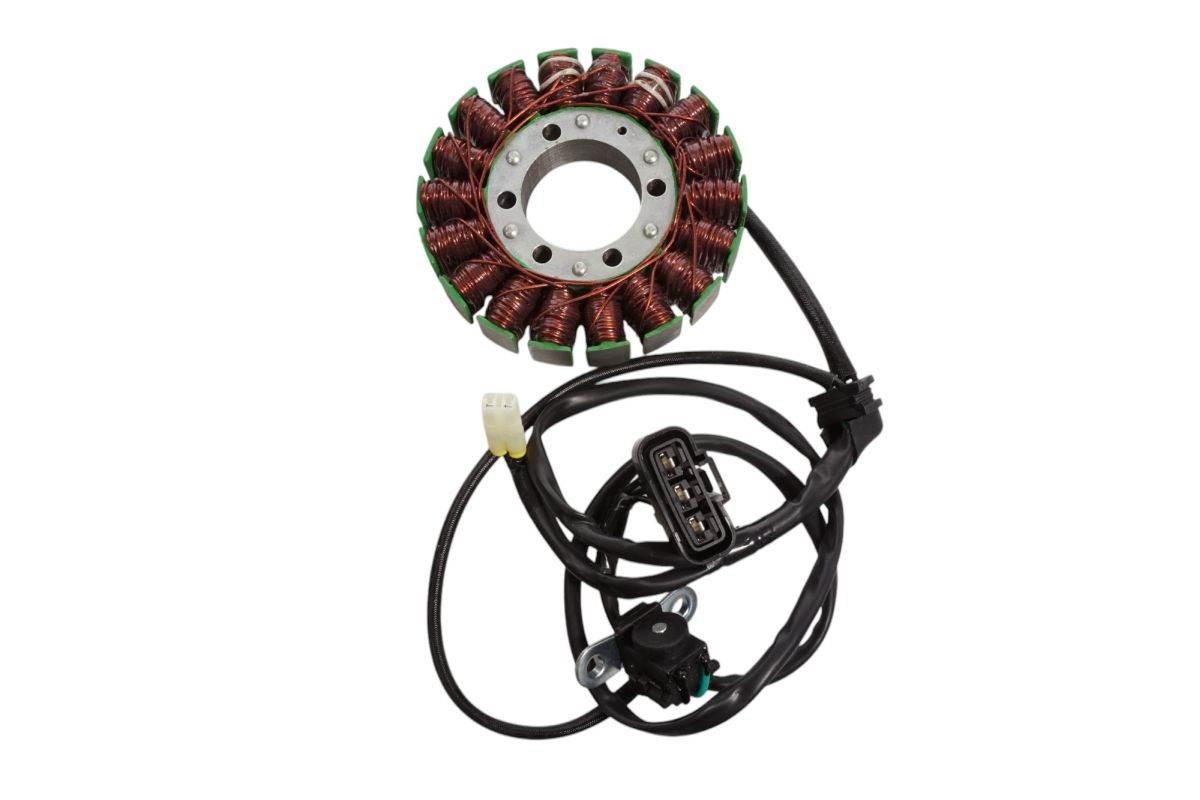 Electrosport Uzwojenie Alternatora Stator Triumph Tiger 800