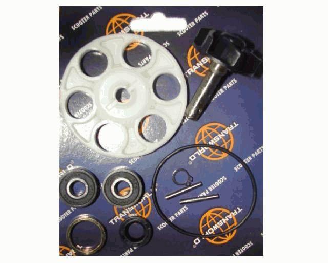 Zestaw naprawczy pompa wody minarelli sr50 2t PF 10 011 0200