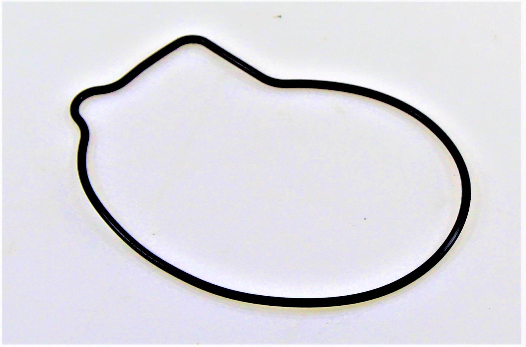 O-ring pompy wody benelli 270066030000