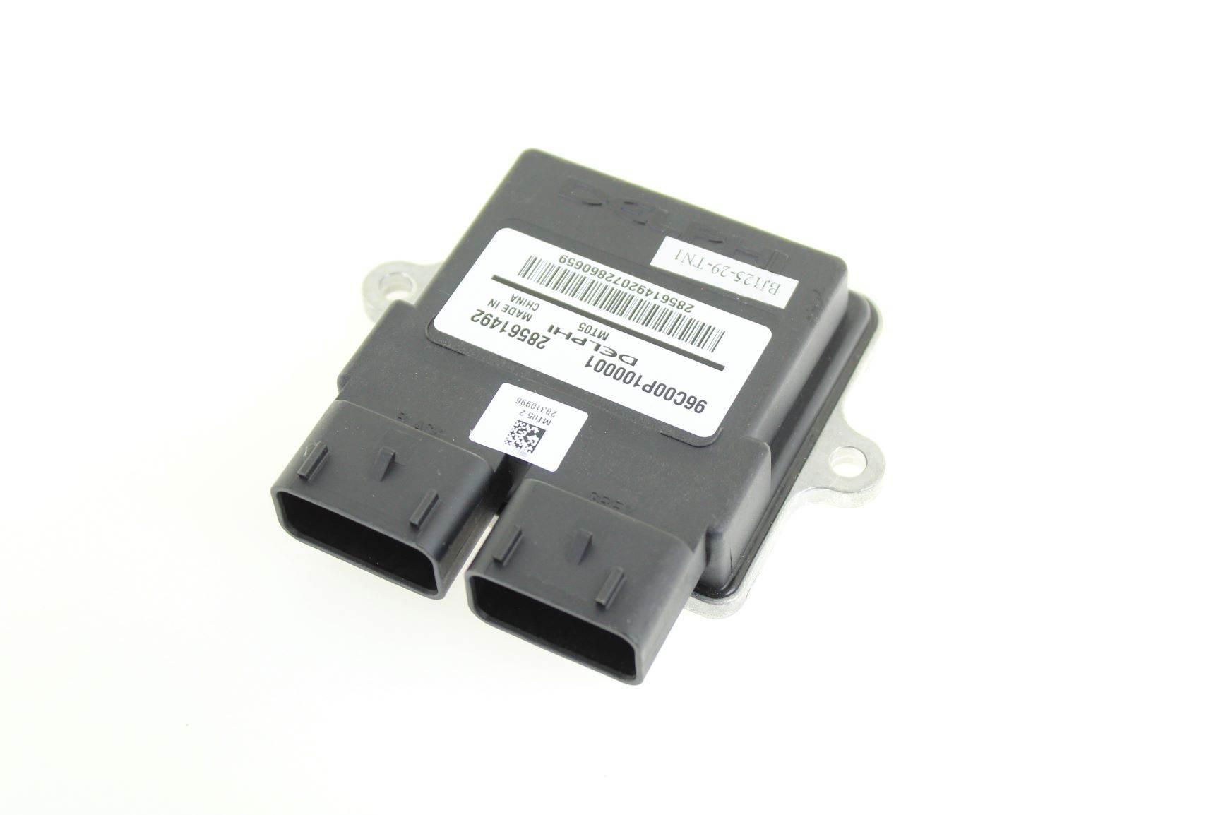 Sterownik (ecu) 96c00p100b01