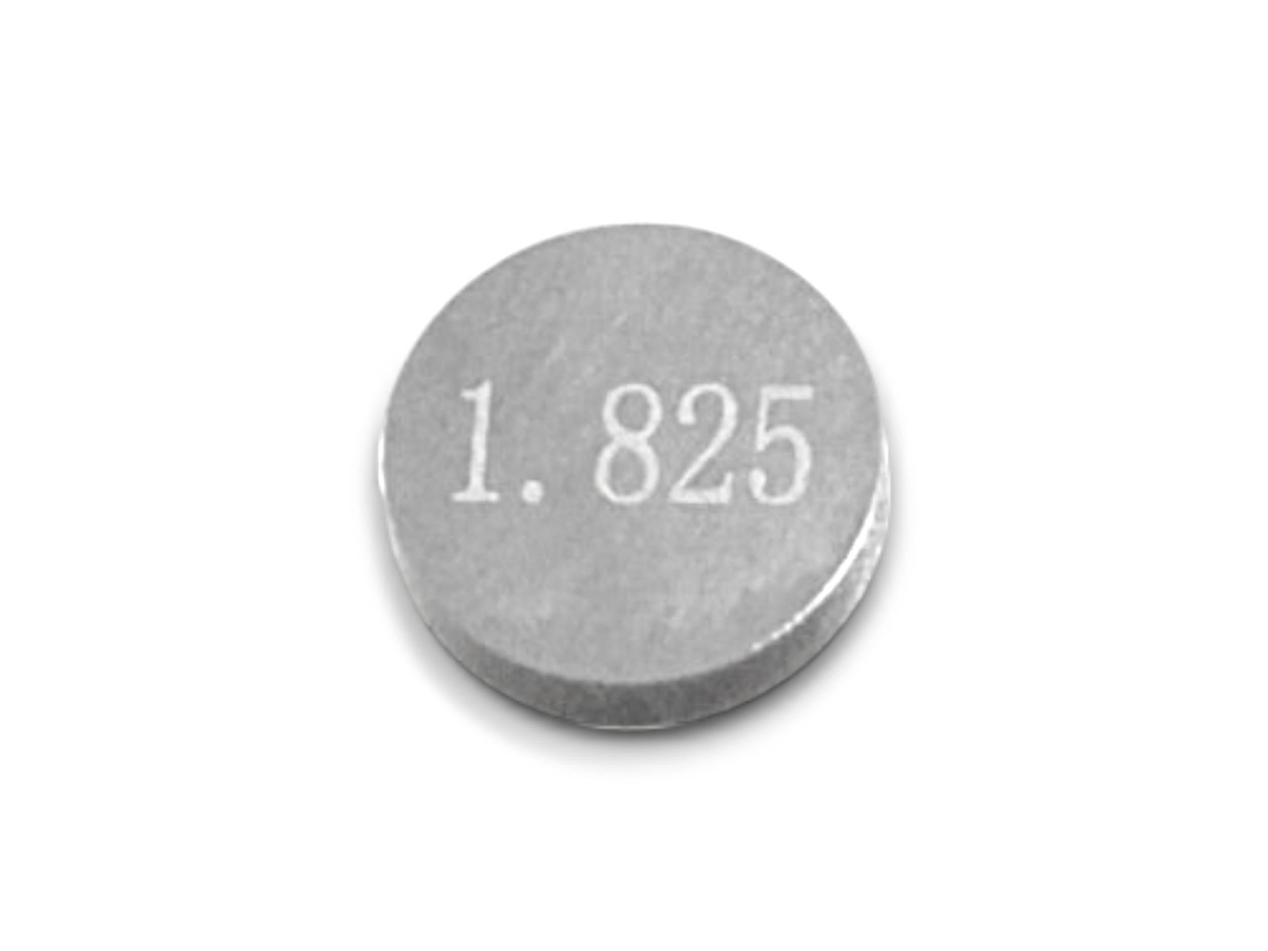 Płytka zaworowa 1,825 svt650 svt650x 120096030028-QJ