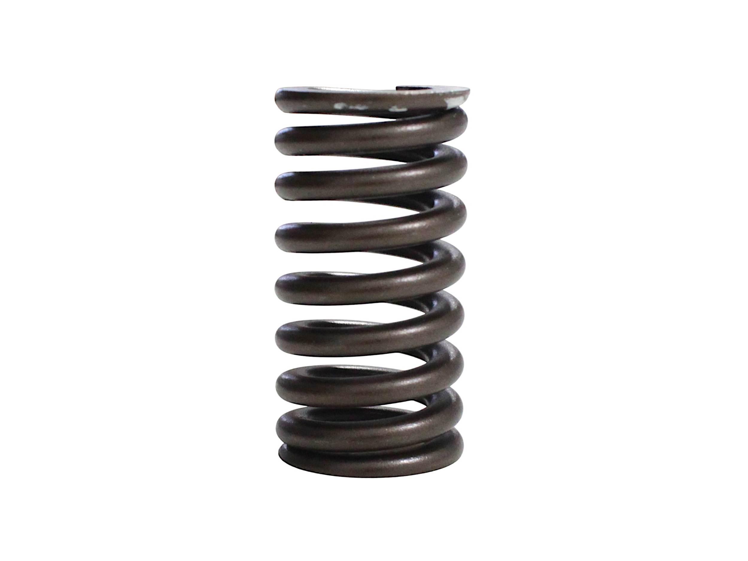 Sprężyna zaworowa wydechowa srt550x srt550sx srt600sx 120186220000-QJ