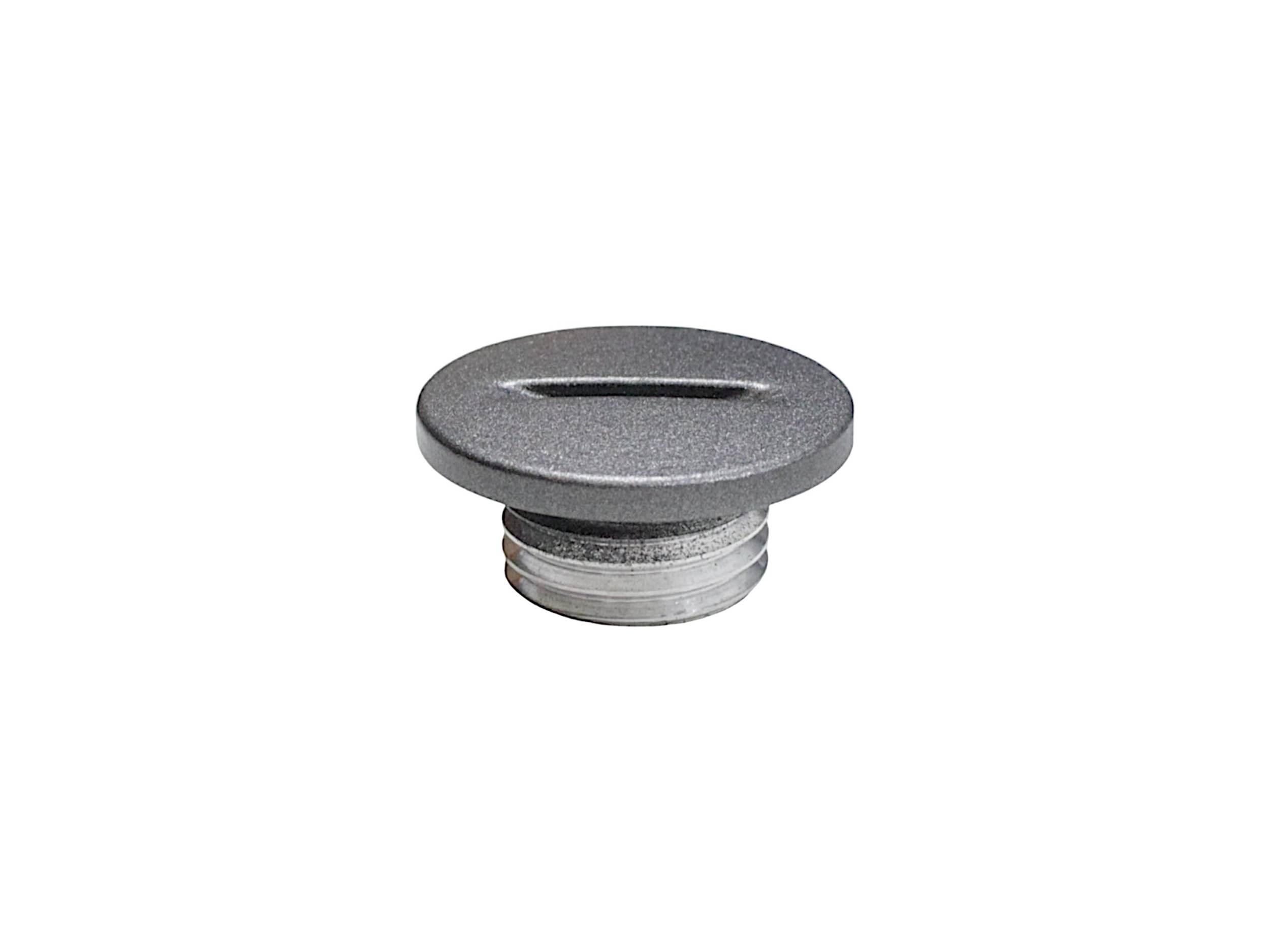 Zaślepka kontrolna trx125 srt550x 160053070030-QJ