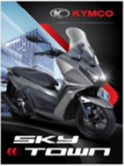 Baner kymco skytown 75x110cm