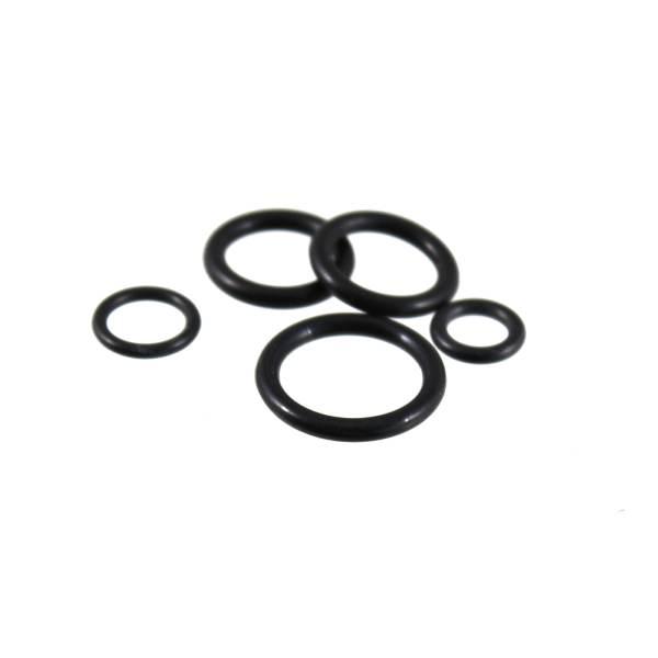 Zestaw o-ringów silnika v50/pk RMS 10 070 9032