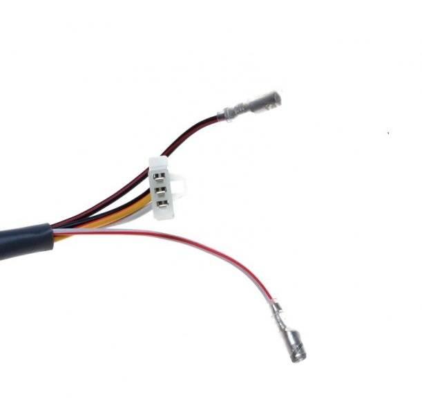 Stator iskrownik 7 cewek wscj00440 2t | ZS02001 - zdjęcie 4