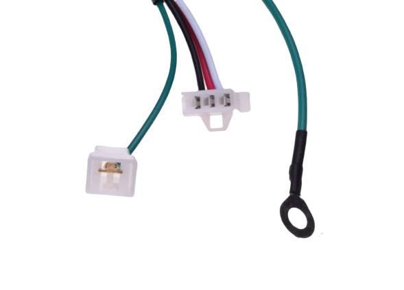 Cewka z modułem do minarelli malaguti | AI2010 - zdjęcie 2