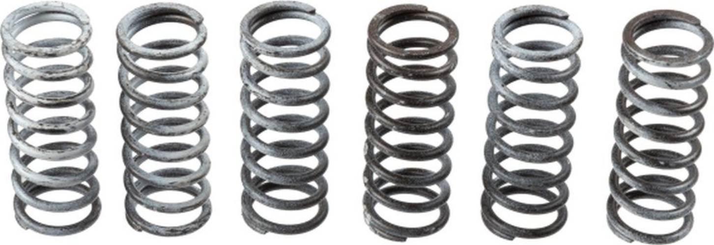 Trw Zf Sprężyny Sprzęgłowe Suzuki Dl 650 04-16, Gladius 650 09-16, Sv 650 0