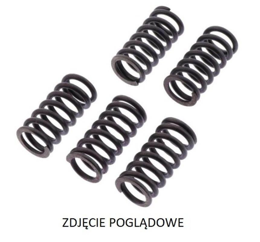 Trw Zf Sprężyny Sprzęgłowe Ducati Monster 1200 '19-, Multistrada 1200 '10-'