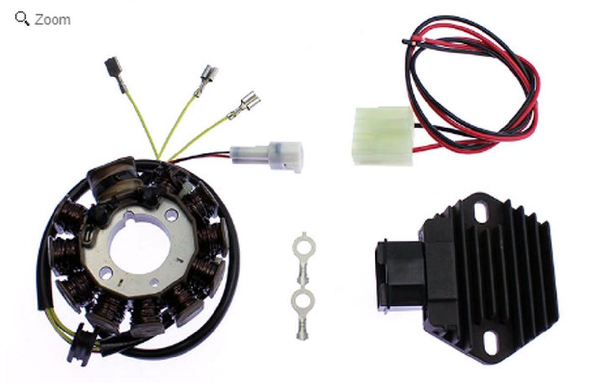 Electrex Uzwojenie Alternatora Stator + Regulator Napięcia High Power 250W