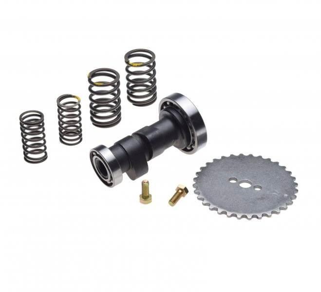Wałek Rozrządu Z40 Tuning Silnik Yx140 | PTB00812