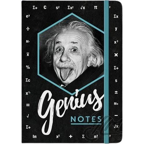 Notes Einstein Genius 54008