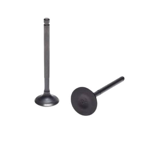 Zawór ssący wydechowy silnik lf120 | LF1200067