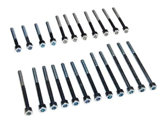 Śruba silnika mz etz 250 bez śruby krzywki