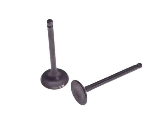 Zawór wydechowy i ssący 125 gy6 4t | STD00673