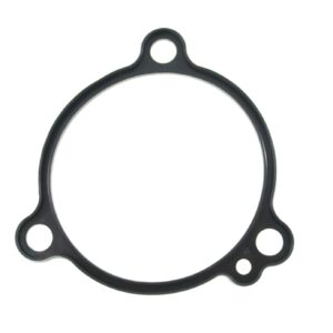 Uszczelka Tylna Przekładni Cvt 11398-Lkm5-E00