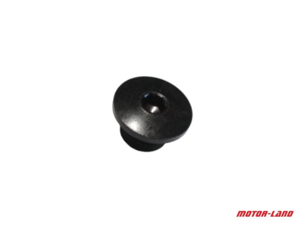 Śruba M14x1 Nc300