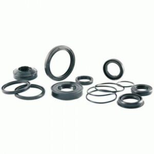 Uszczelniacz 31x62x4.3 Rms 10 066 6000