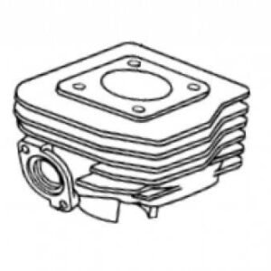Cylinder Kymco Zx50