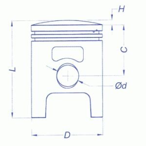 1698049966058_37384610-169c-48d8-8d58-d111d4b9ed51.jpg