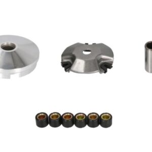 Kompletny Wariator Rolki Silnik 50 2t Śr.14 Mm 6gr