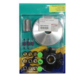 Wariator piaggio 9gram tuning