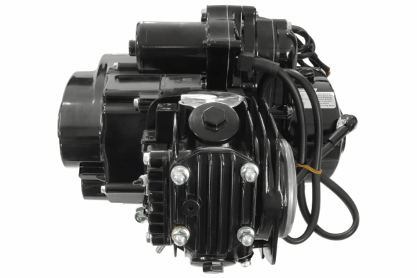 Silnik pentora 125 - obrazek 3