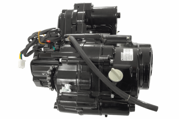 Silnik pentora 125 - obrazek 4
