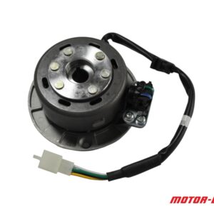 Stojan Alternatora Z Kołem Magnesowym Yx150 W150 Apollo Rxf Freeride