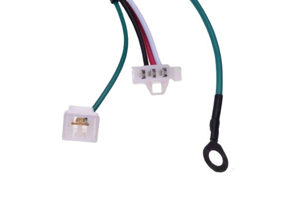 Cewka z modułem minarelli malaguti Cewka z modułem minarelli malaguti - obrazek 2